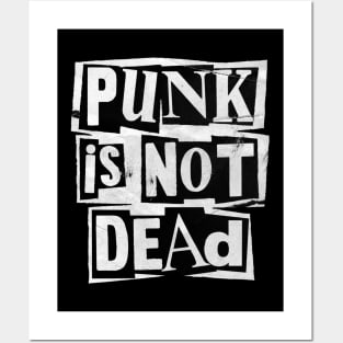 Punk Is Not Dead Posters and Art